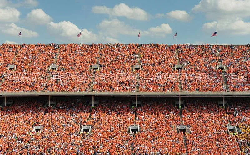 飞跃赛场：信鸽运动会官方网站的丰富资源和精彩赛事信息