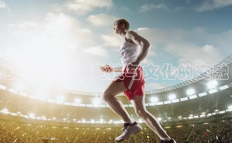 欧冠盛事：竞技与文化的交融