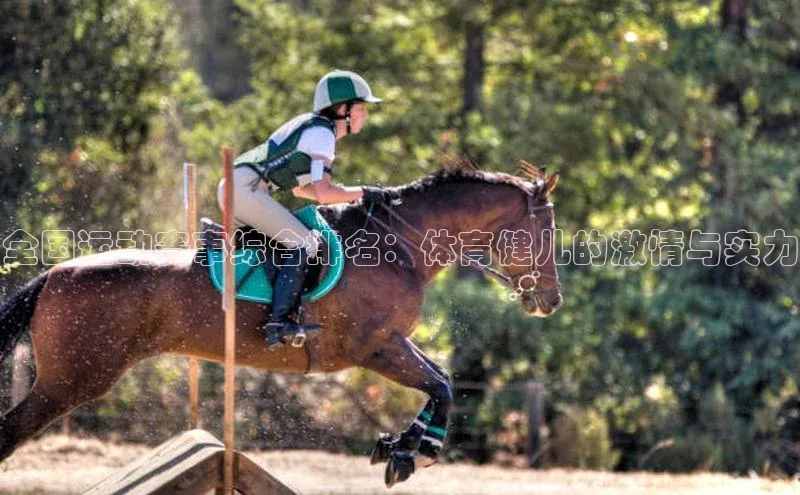 全国运动赛事综合排名：体育健儿的激情与实力