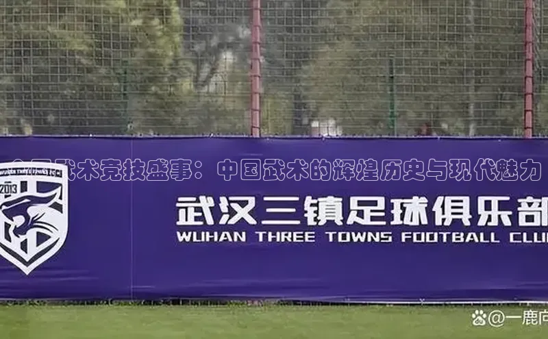 全国武术竞技盛事：中国武术的辉煌历史与现代魅力