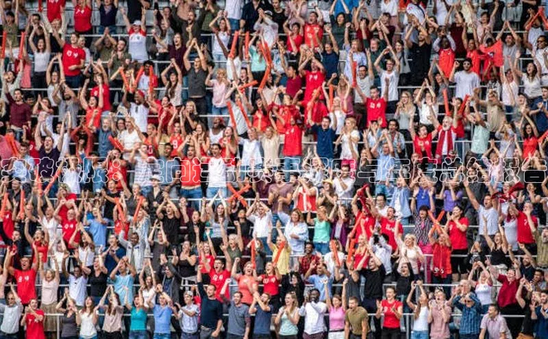 突破极限：定向运动赛事深度与年度总结报告