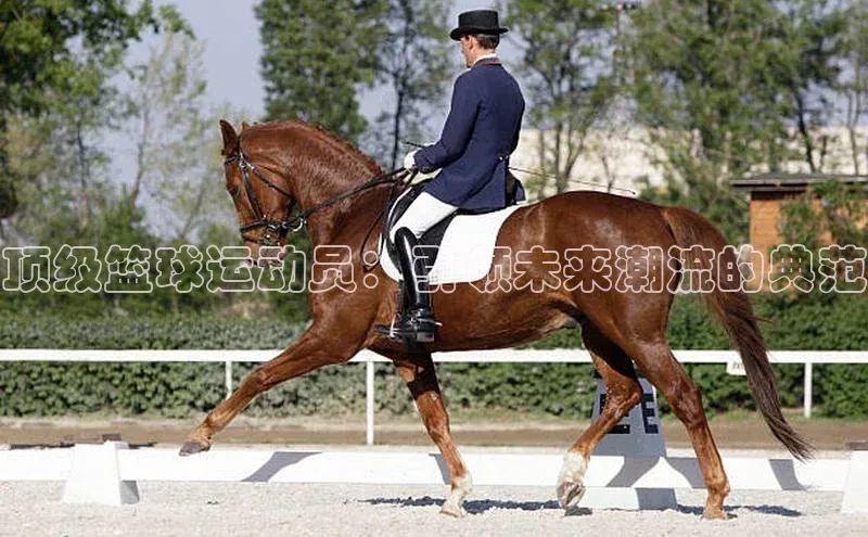 顶级篮球运动员：引领未来潮流的典范