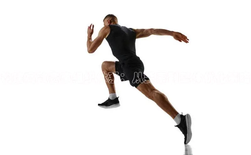 构建高效赛事组织体系：从要素到整体优化策略