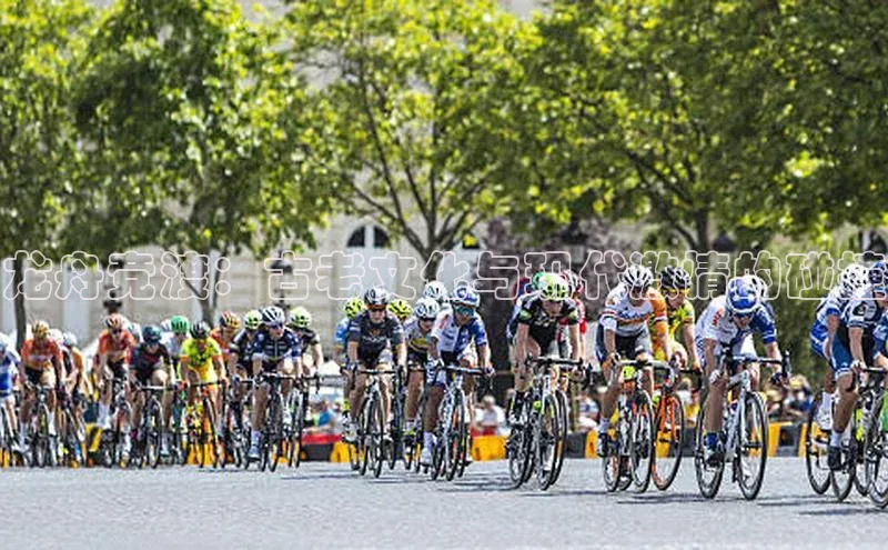 龙舟竞渡：古老文化与现代激情的碰撞