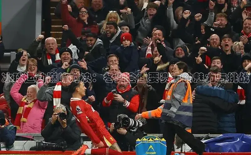 冰球运动巅峰对决：冬奥会重要赛事的魅力与挑战