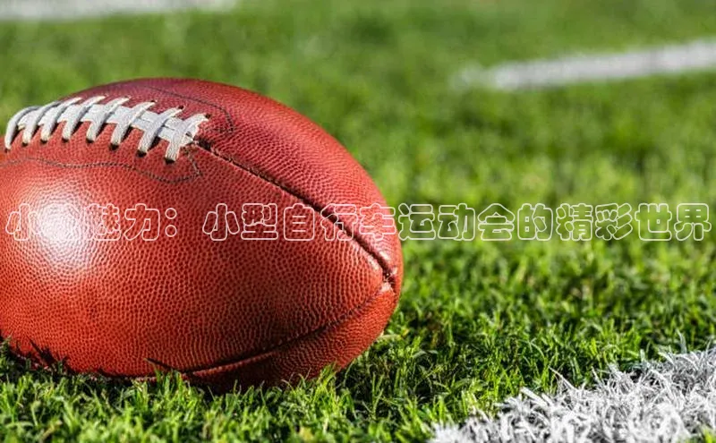 小轮魅力：小型自行车运动会的精彩世界