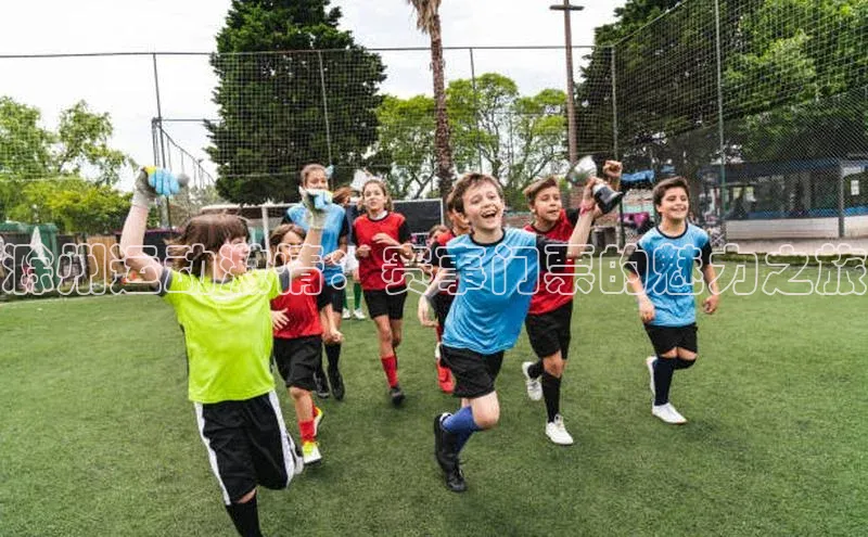 滁州运动激情：赛事门票的魅力之旅