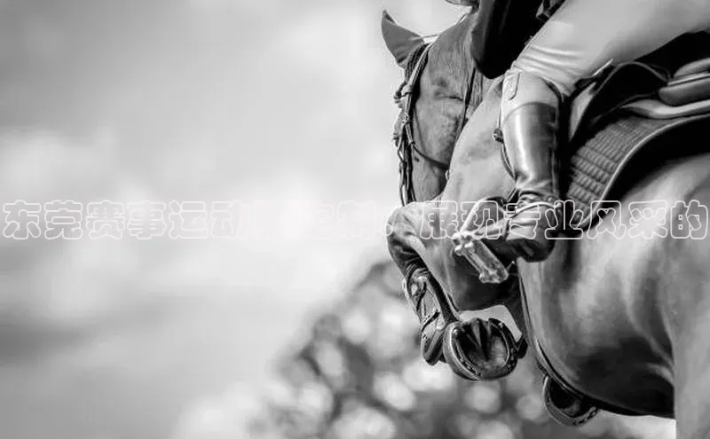 东莞赛事运动服定制：展现专业风采的