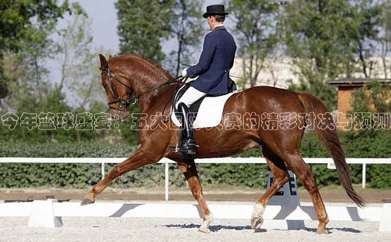 今年篮球盛宴：五大国际大赛的精彩对决与预测