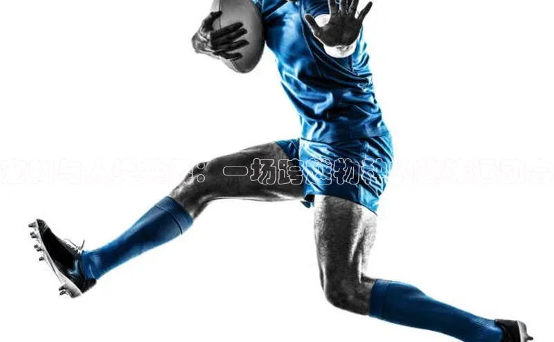 宠物与人类共舞：一场跨越物种的趣味运动会